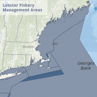 Lobster Fishery Management Areas Map