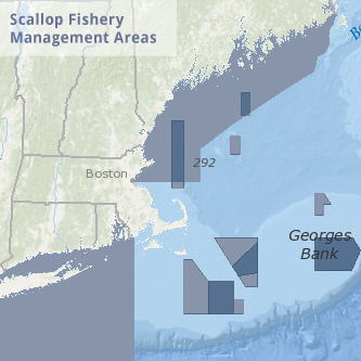 Scallop Fishery Management Areas