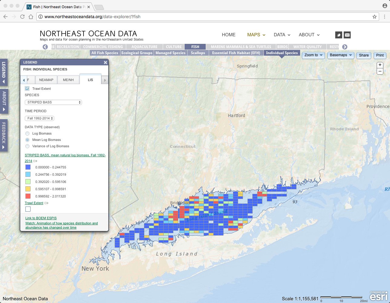 Screenshot of map showing striped bass biomass in Long Island Sound