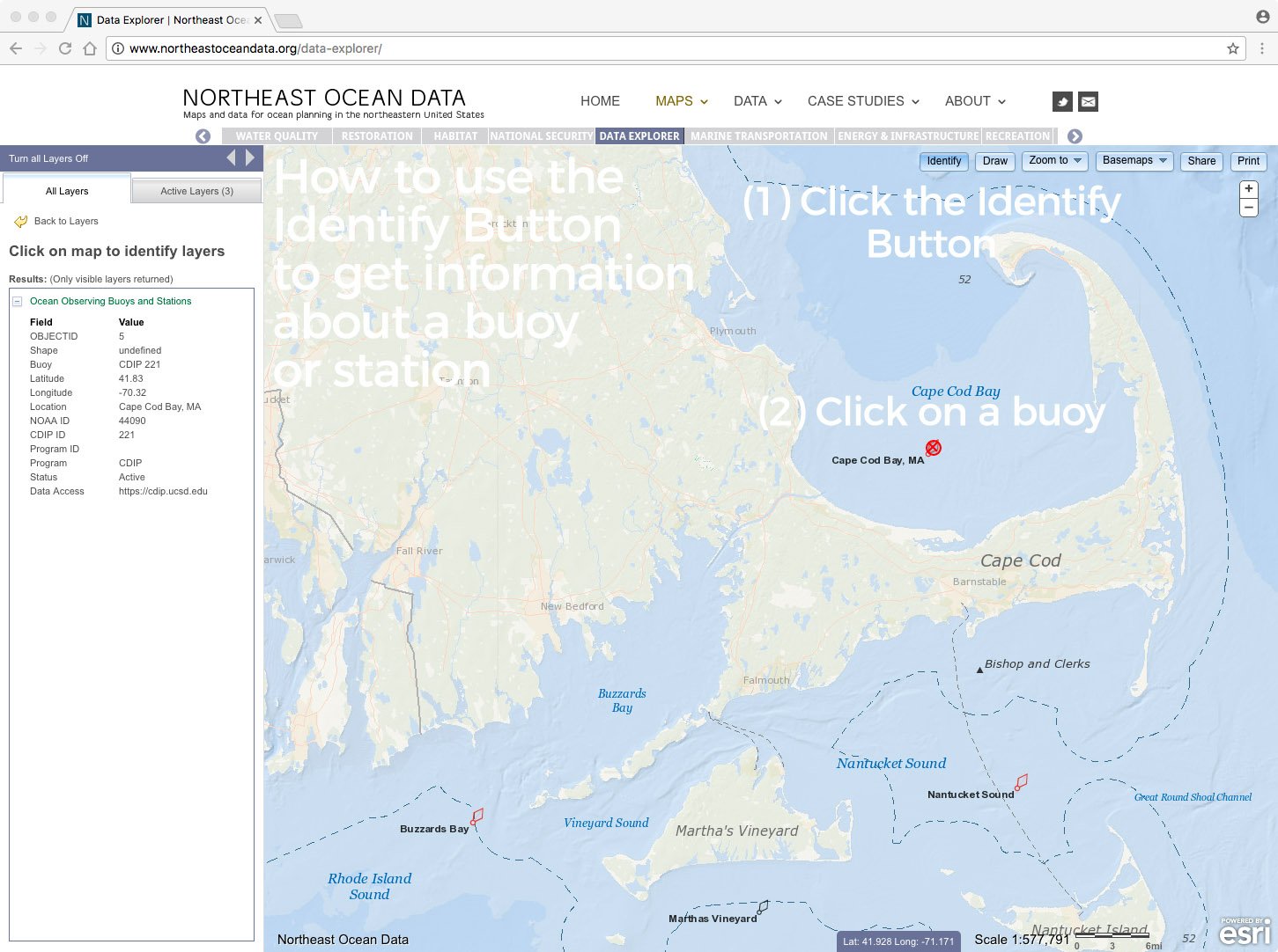 Screenshot of info box for Cape Cod Bay ocean observing buoy