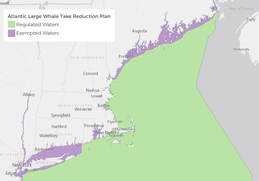 Atlantic Large Whale Take Reduction Plan Areas