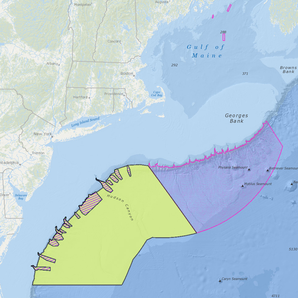 NEFMC Omnibus Deep-Sea Coral Amendment areas and the Mid-Atlantic Fishery Management Council’s Frank R. Lautenberg Deep-Sea Coral Protection Zone