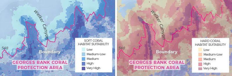 closeup maps 800
