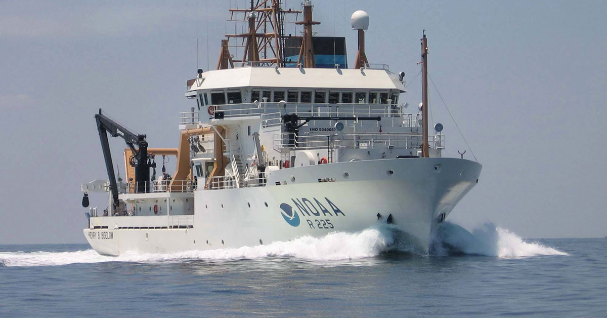 Updated and New Fish Abundance Data from Coastal Trawl Surveys